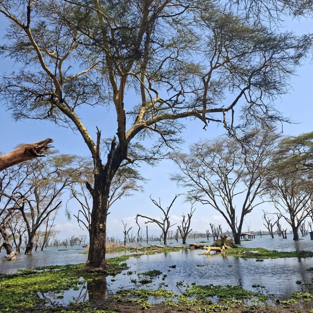 # CITY # LAKE # BEACH # ADVENTURE – KENYA