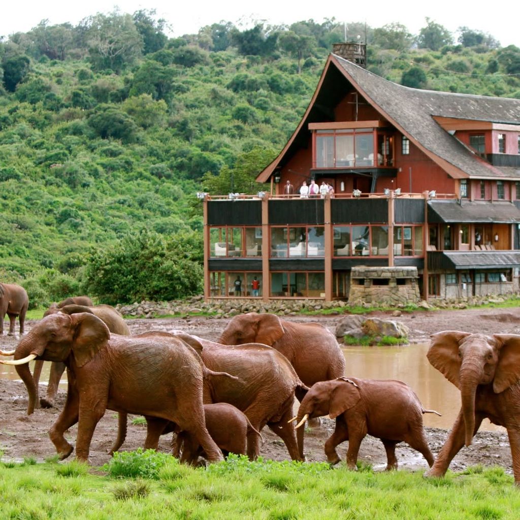 KENYA ADVENTURE SAFARI